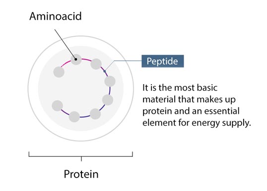 A complex of 9 peptides by Dr.Althea